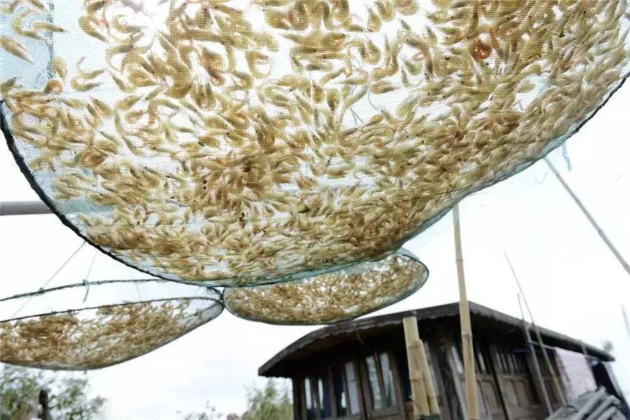 蘇州·泊悅灣，城市鄉(xiāng)村間人們何嘗不是兩棲動物