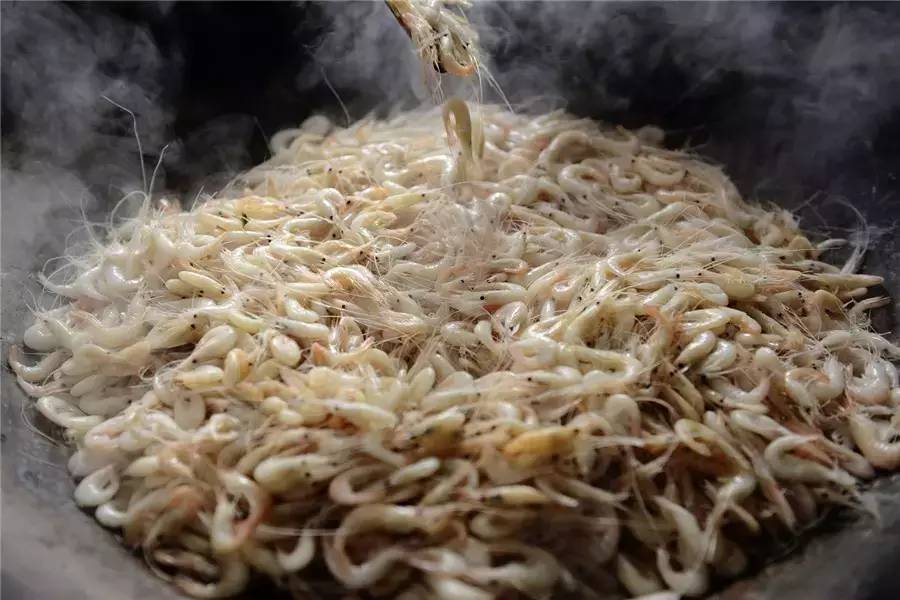 蘇州·泊悅灣，城市鄉(xiāng)村間人們何嘗不是兩棲動物