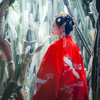 紅衣仙鶴帶傘女生頭像，唯美古風真人頭像