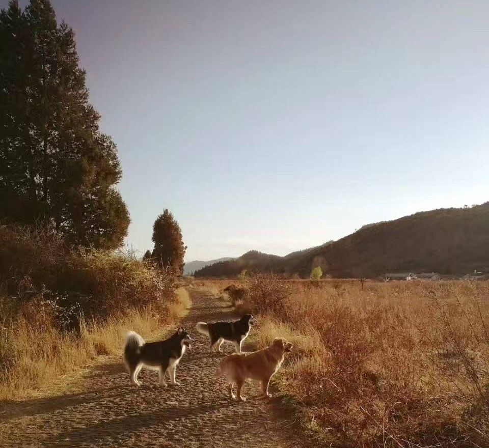 麗江束河·雲(yún)山南，相愛真的是一種奇跡