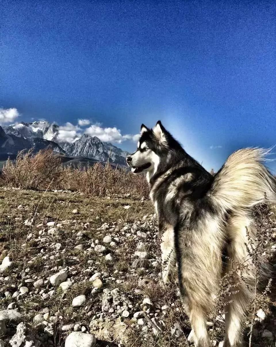 麗江束河·雲(yún)山南，相愛真的是一種奇跡
