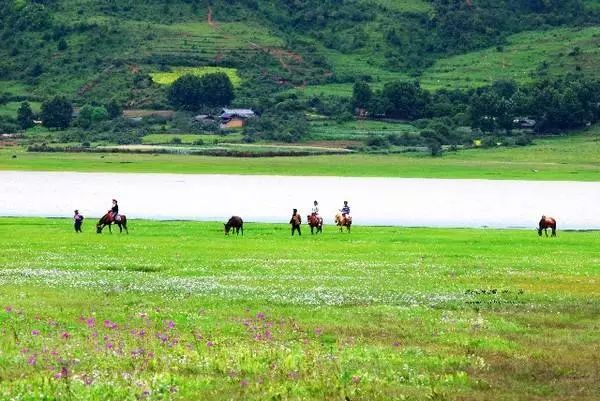 麗江束河·雲(yún)山南，相愛真的是一種奇跡