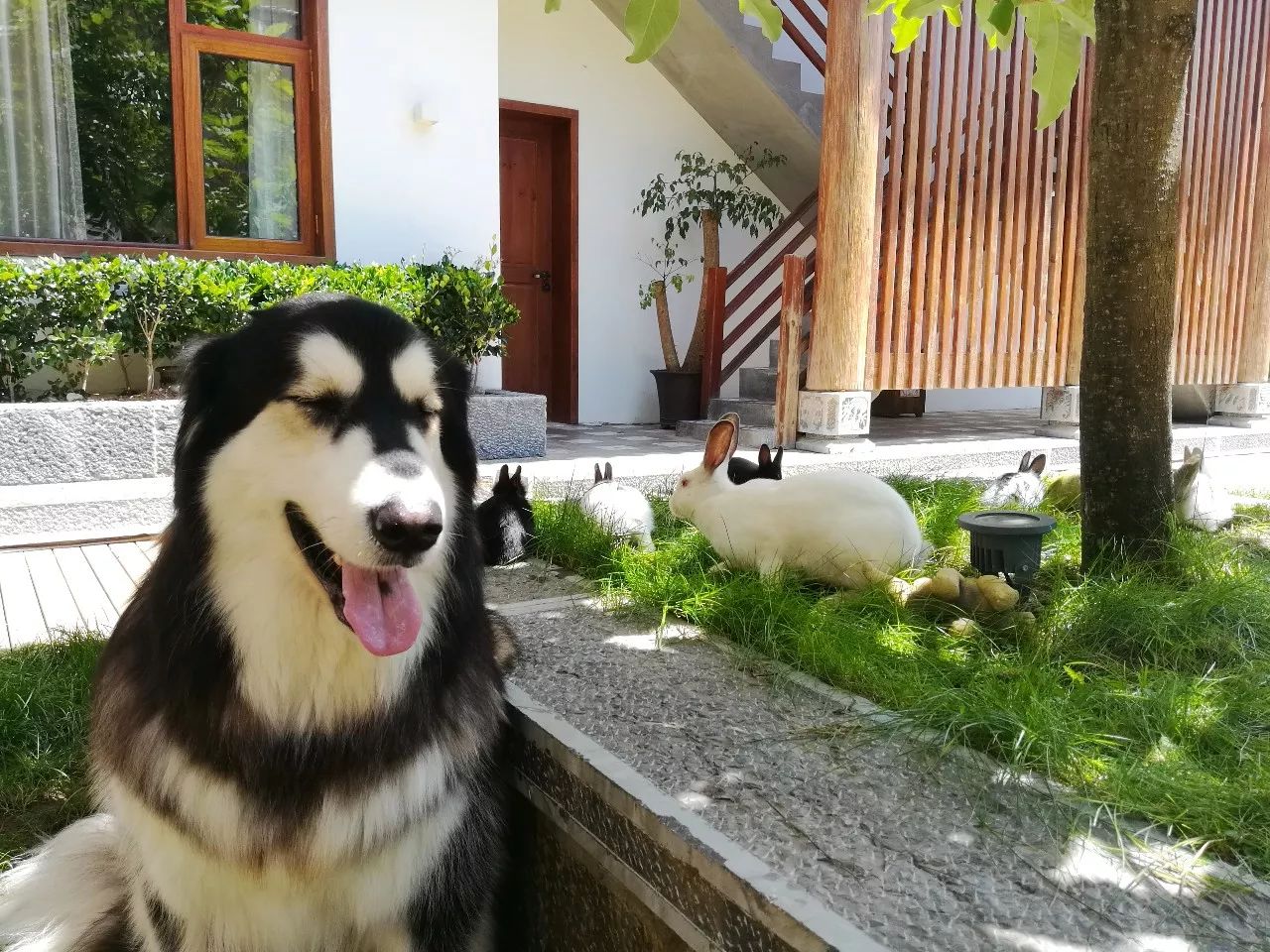 麗江束河·雲(yún)山南，相愛真的是一種奇跡