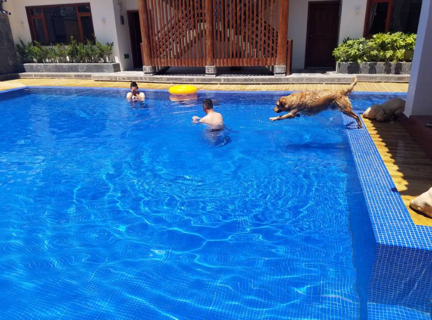 麗江束河·雲(yún)山南，相愛真的是一種奇跡