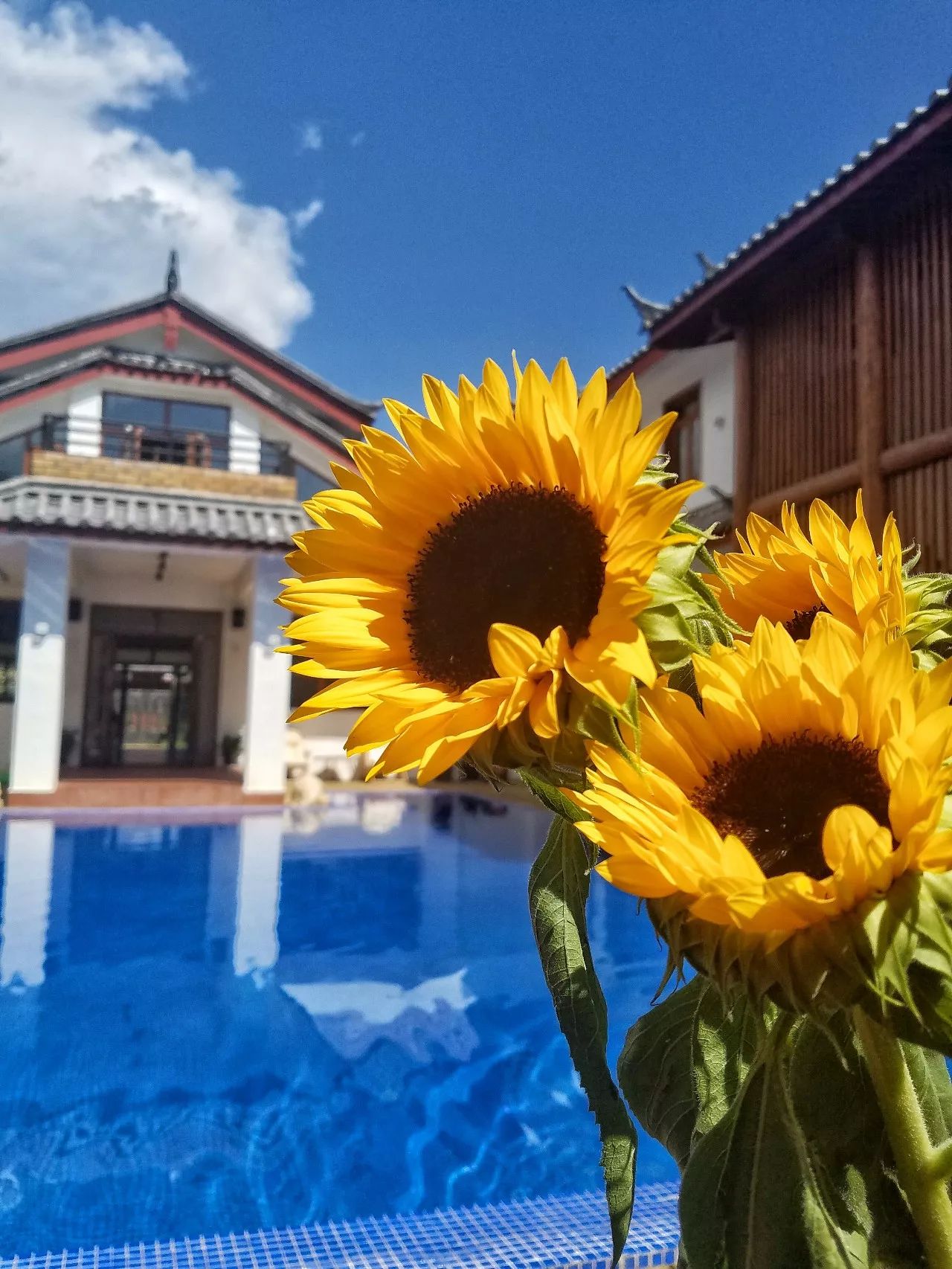 麗江束河·雲(yún)山南，相愛真的是一種奇跡