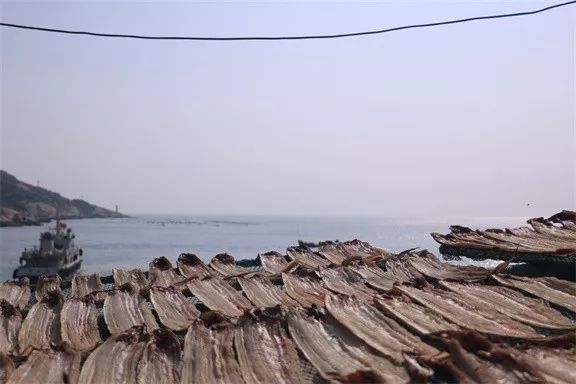 東極·塵曦，絕美的日出和嶄新的開始在等我