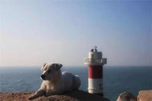 東極·塵曦，絕美的日出和嶄新的開始在等我