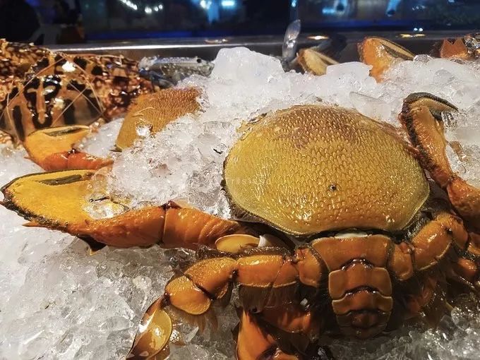 普吉島·寓薦，曬太陽(yáng)吹海風(fēng)過(guò)溫暖的海島生活