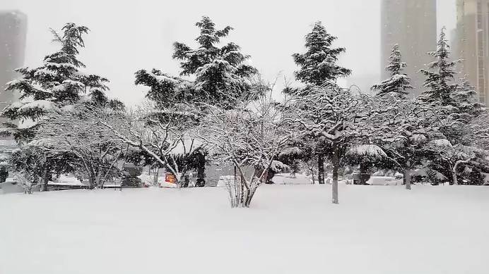 普吉島·寓薦，曬太陽吹海風過溫暖的海島生活
