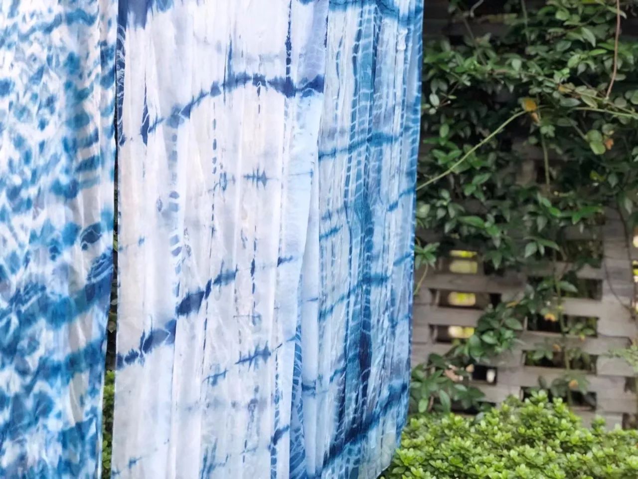 南京·老樹院子山囿里,與時光慢揉在一起彼此沉