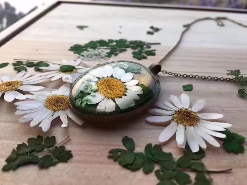 南京·老樹院子山囿里,與時(shí)光慢揉在一起彼此沉