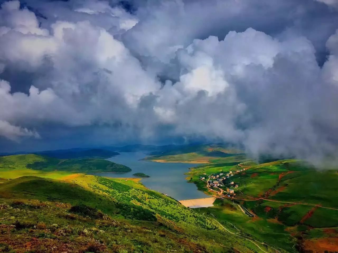 南京·老樹院子山囿里,與時(shí)光慢揉在一起彼此沉