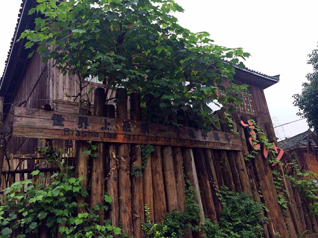 南京·老樹院子山囿里,與時(shí)光慢揉在一起彼此沉