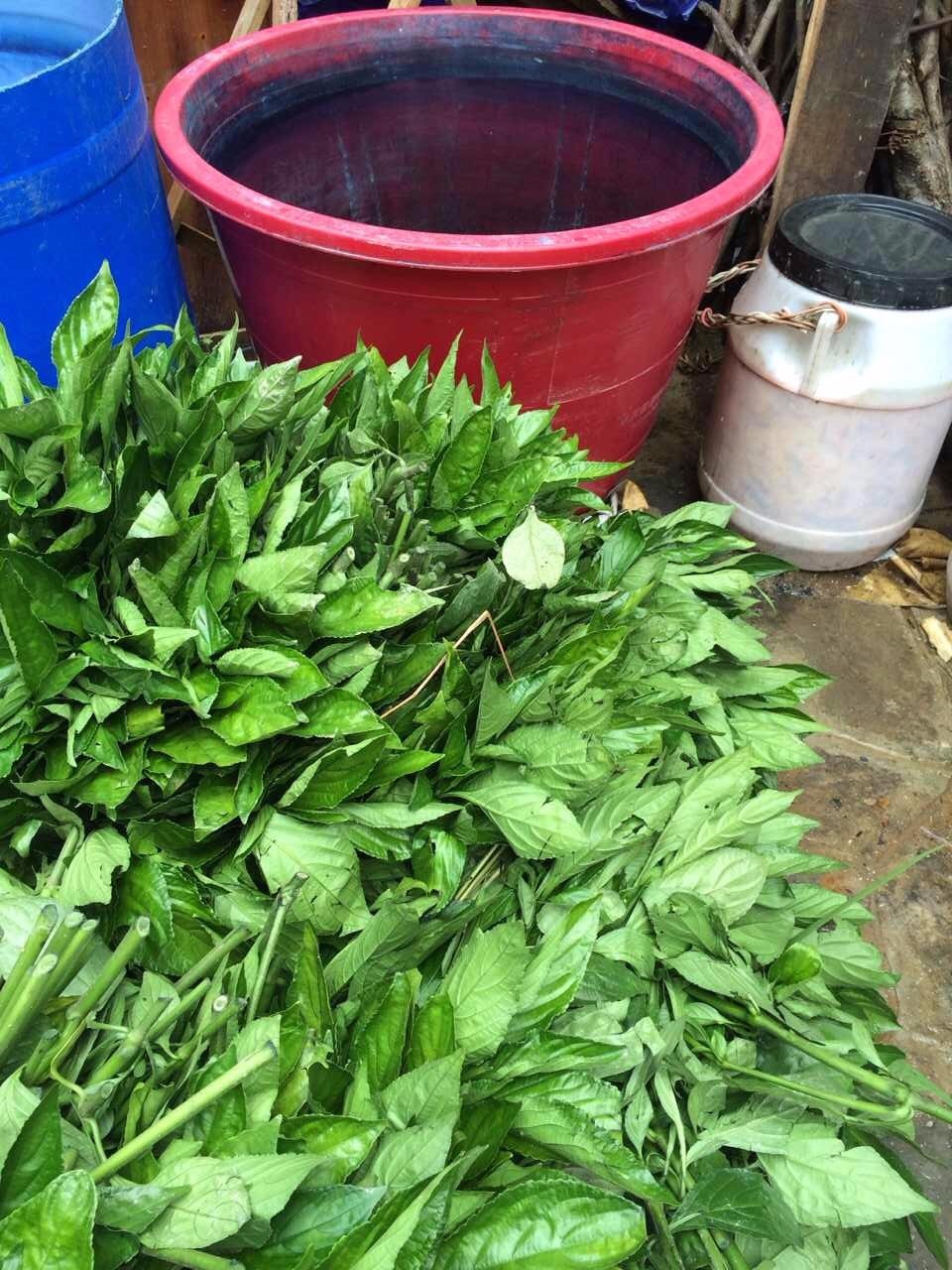 南京·老樹院子山囿里,與時(shí)光慢揉在一起彼此沉