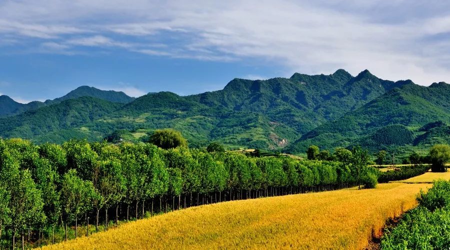 蜀中驛瓦舍旅行酒店，雅安年輕人的「老地方」