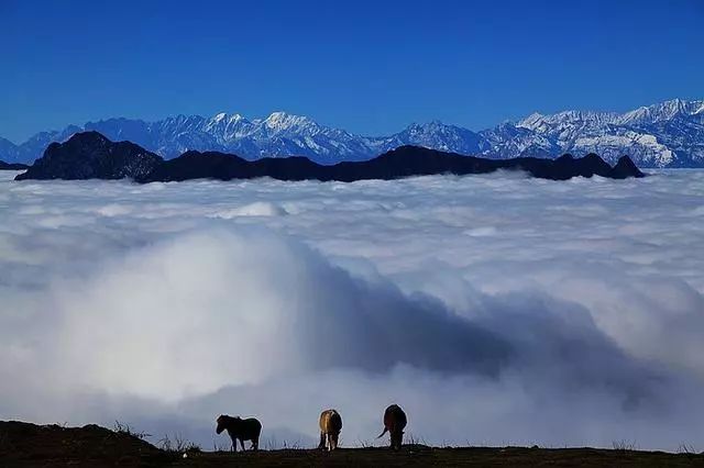 蜀中驛瓦舍旅行酒店，雅安年輕人的「老地方」