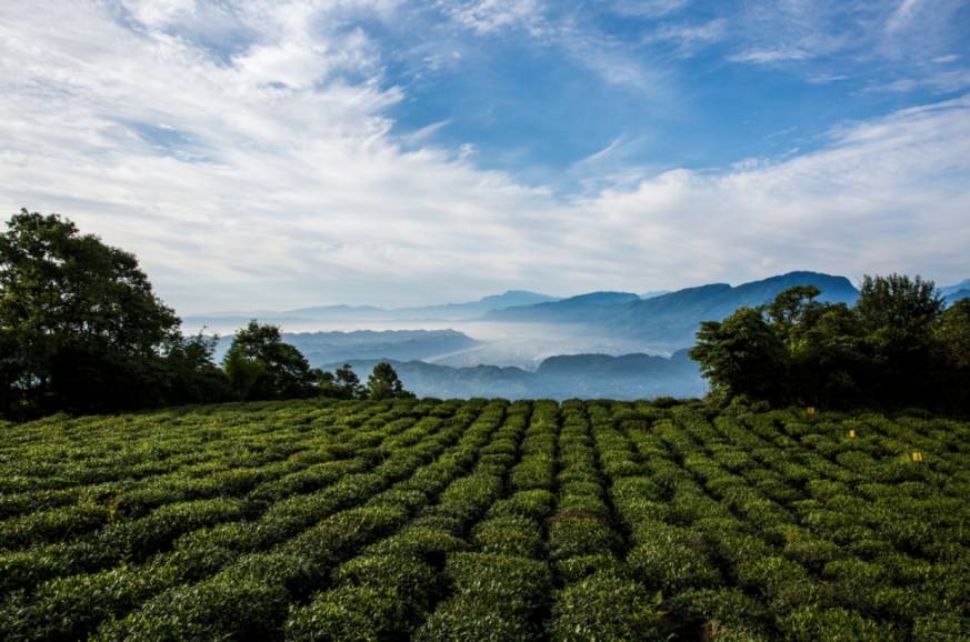 蜀中驛瓦舍旅行酒店，雅安年輕人的「老地方」