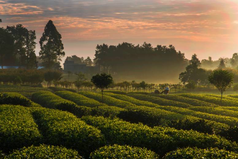 蜀中驛瓦舍旅行酒店，雅安年輕人的「老地方」