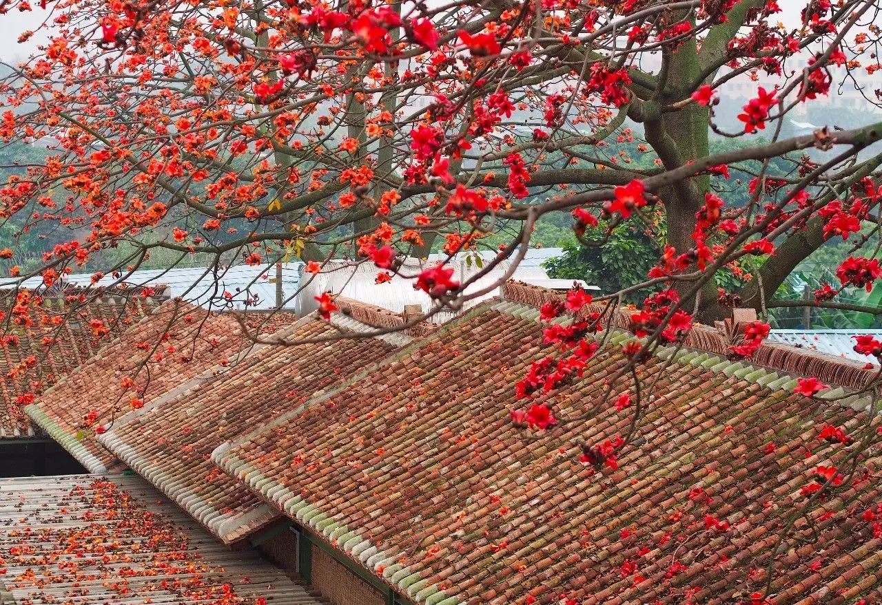 廣州·喜臨院，給這些念舊又深情的人一個(gè)禮物