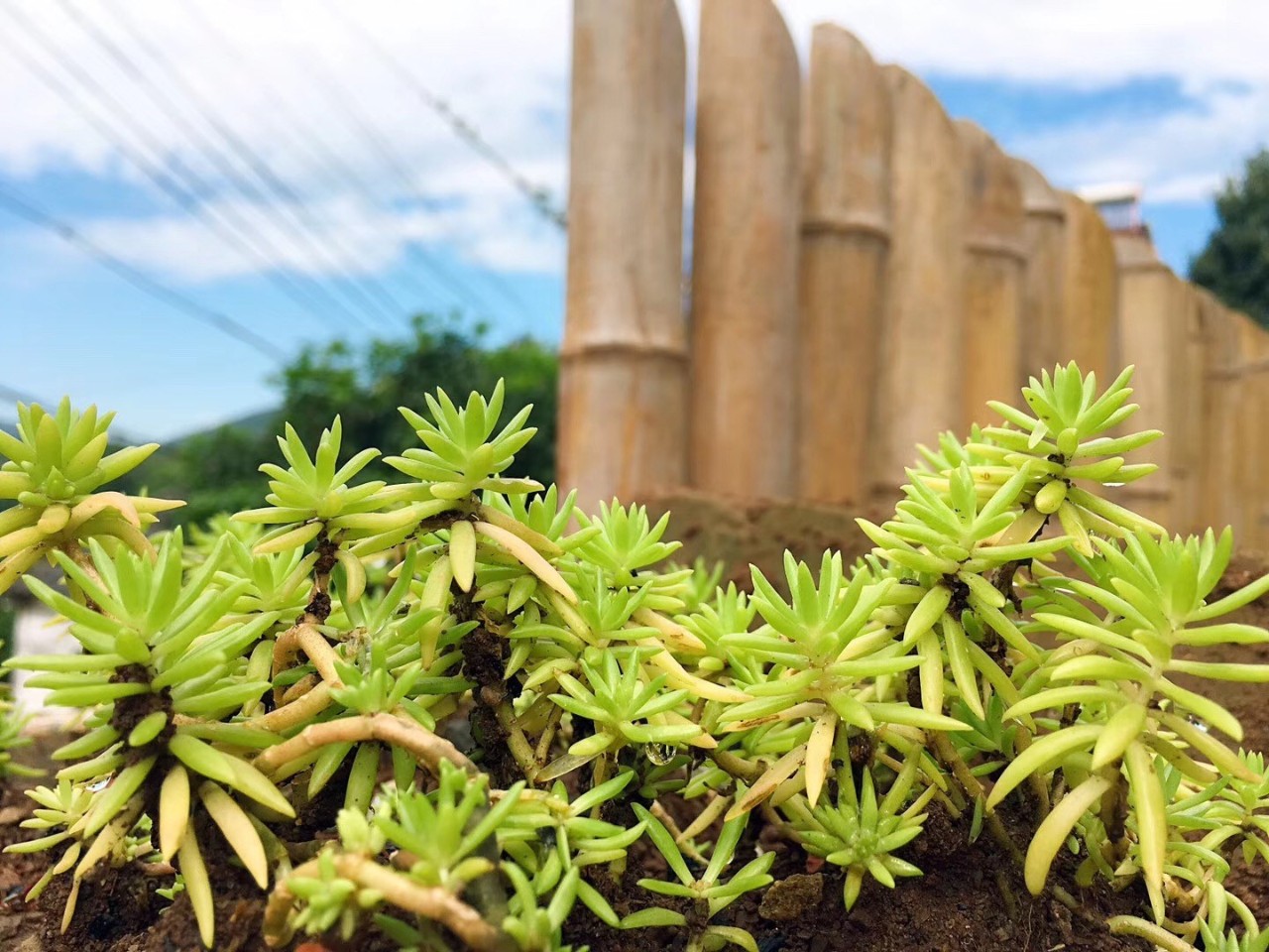 南京·匠村臥香，活在當(dāng)下傾我所有去生活
