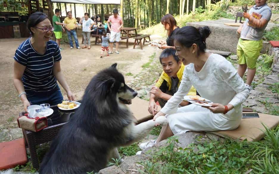 南京·匠村臥香，活在當(dāng)下傾我所有去生活