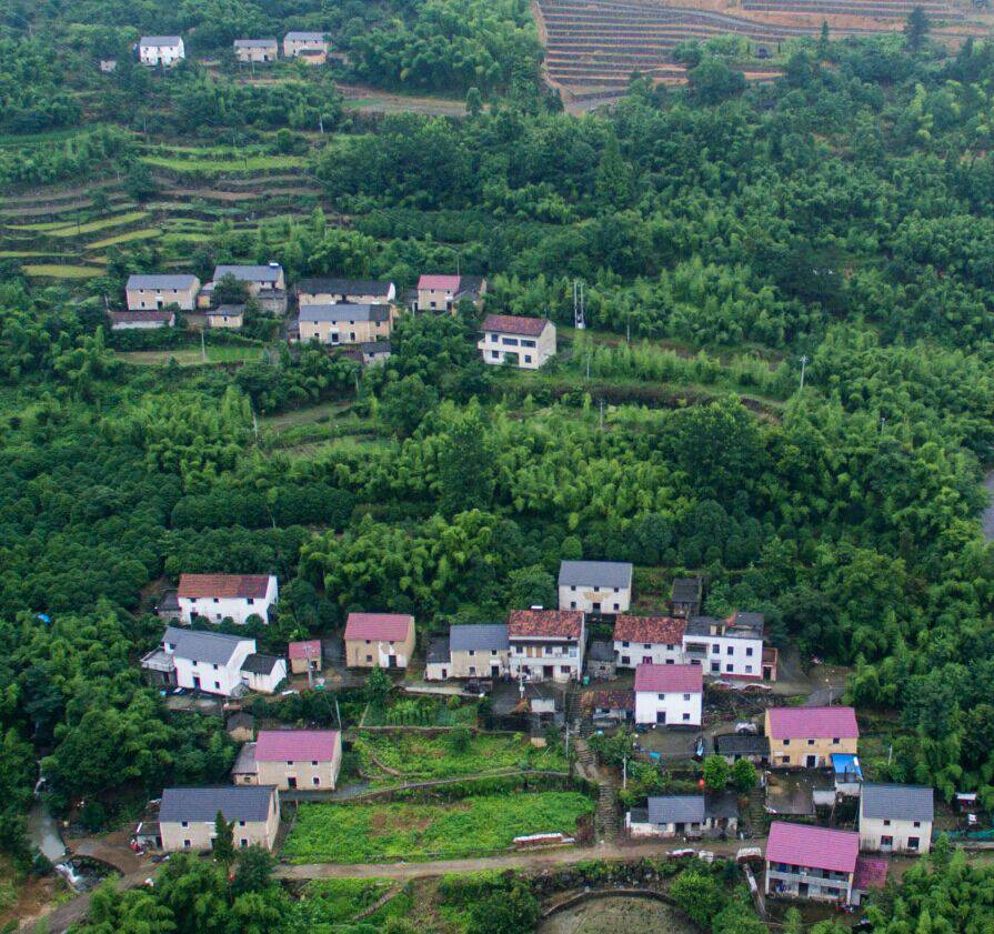 杭州·蓮社溪客，不妥協(xié)的人生才比較有趣
