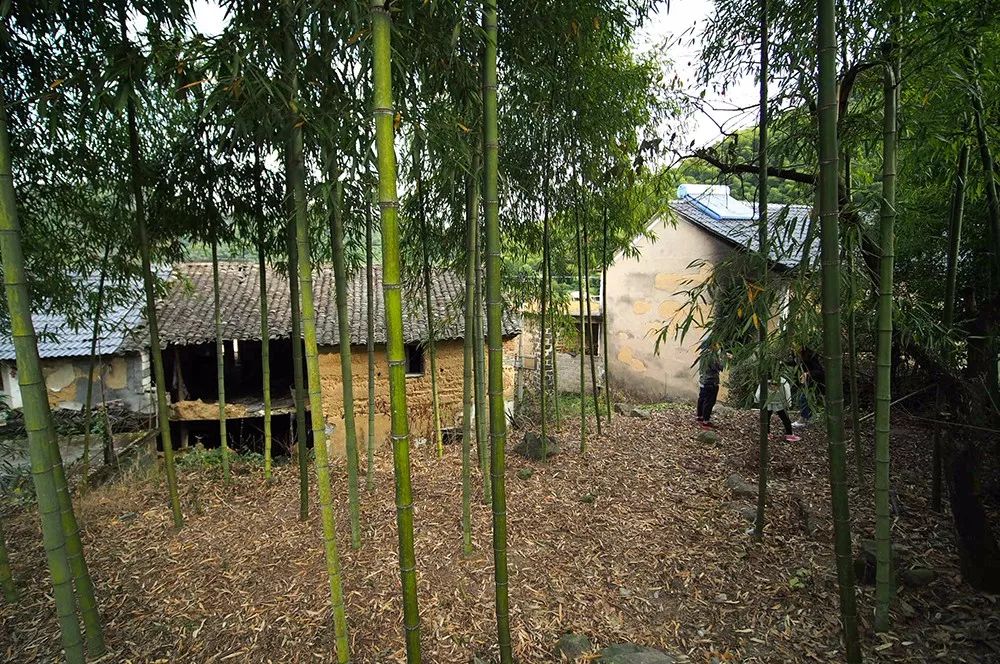 杭州·蓮社溪客，不妥協(xié)的人生才比較有趣