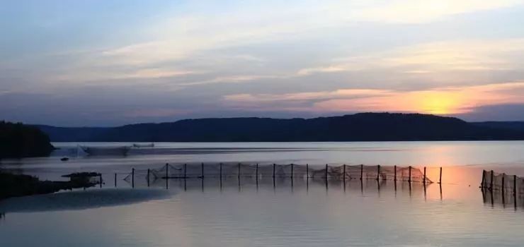 江蘇·兩可間，喚起心底一絲對傳統(tǒng)藝術(shù)的感念