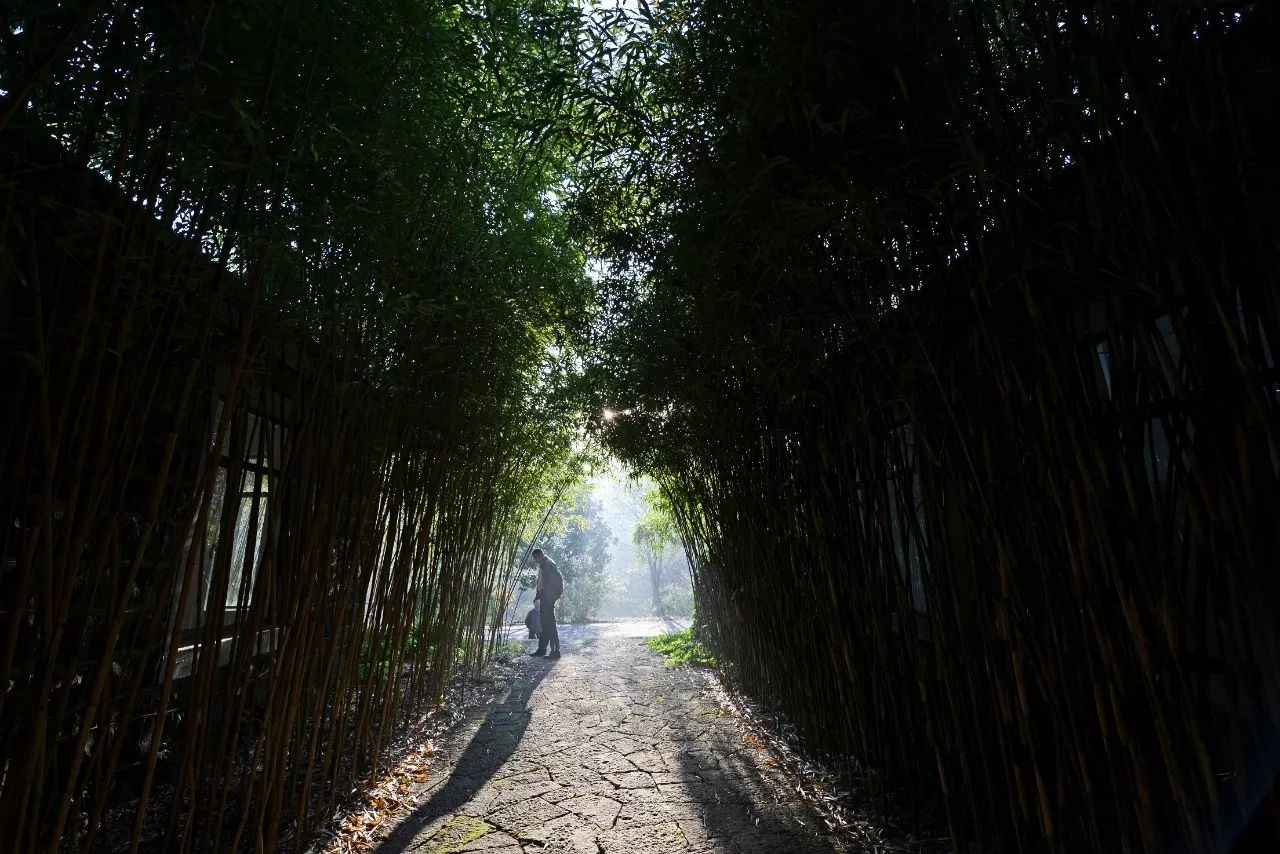 江蘇·兩可間，喚起心底一絲對傳統(tǒng)藝術(shù)的感念