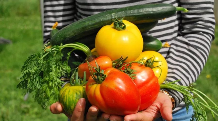 江蘇·兩可間，喚起心底一絲對傳統(tǒng)藝術(shù)的感念