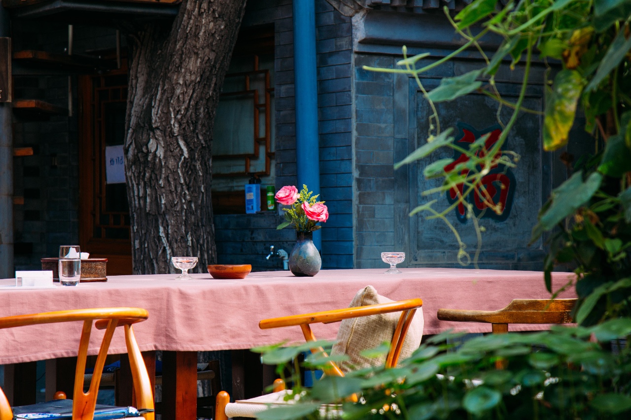 京城·63號(hào)院子，有院子老樹(shù)老北京的煙火氣息