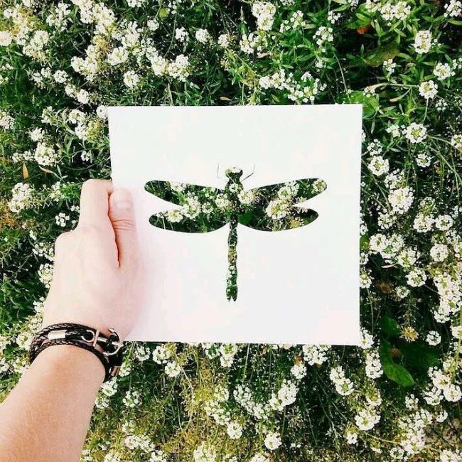 換個(gè)角度看世界：把剪紙帶進(jìn)大自然