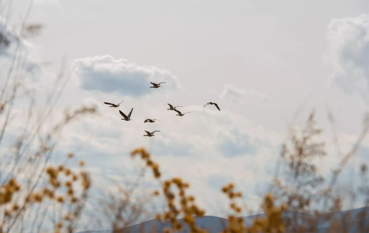 莫干山·宿里，一處桃花源建一處詩(shī)意棲居之所