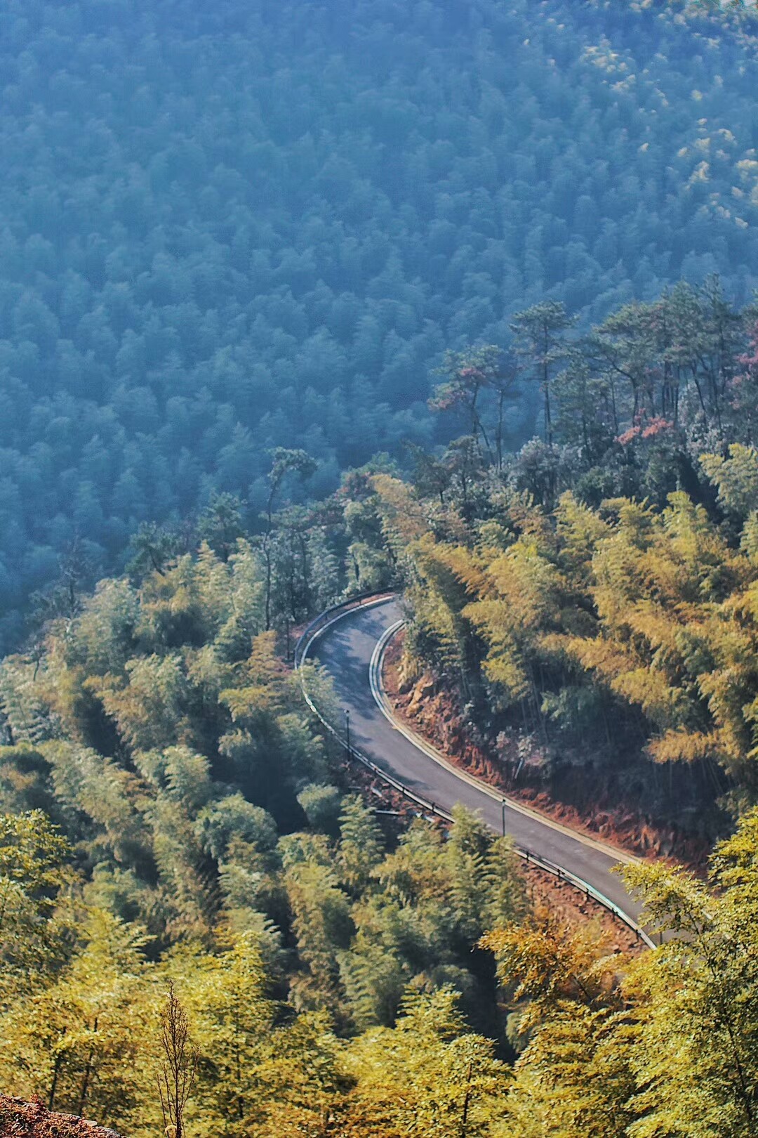 莫干山·宿里，一處桃花源建一處詩(shī)意棲居之所