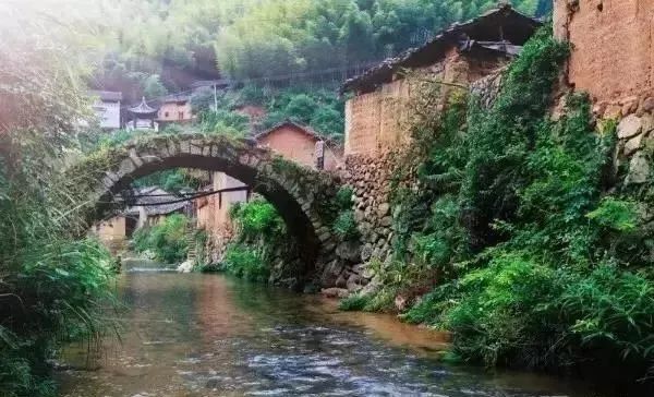 麗水·曼山居，依山而居便不知人間是何夕