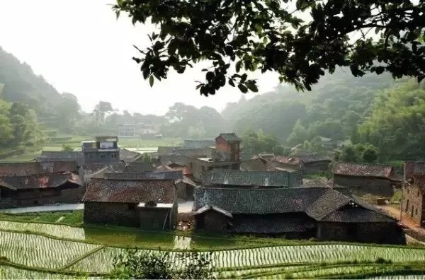 麗水·曼山居，依山而居便不知人間是何夕