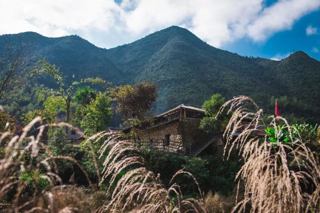 麗水·曼山居，依山而居便不知人間是何夕