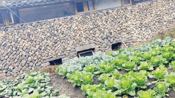 麗水·曼山居，依山而居便不知人間是何夕