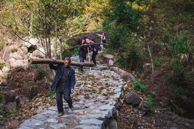 麗水·曼山居，依山而居便不知人間是何夕