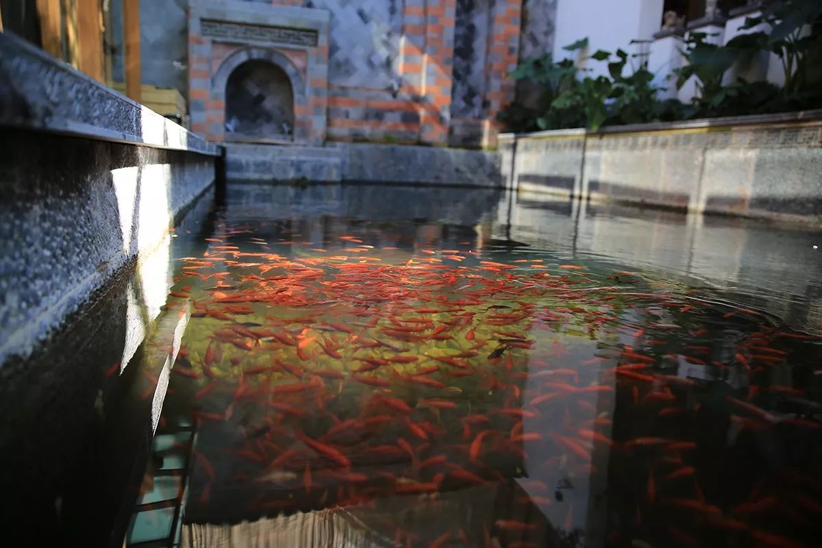 吾鄉(xiāng)尋幽·隱奢酒店，耐人尋味的歷史味的古宅