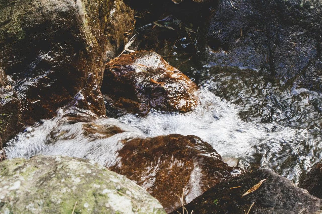 杭州·菩提谷，與你一起私有群山秘境
