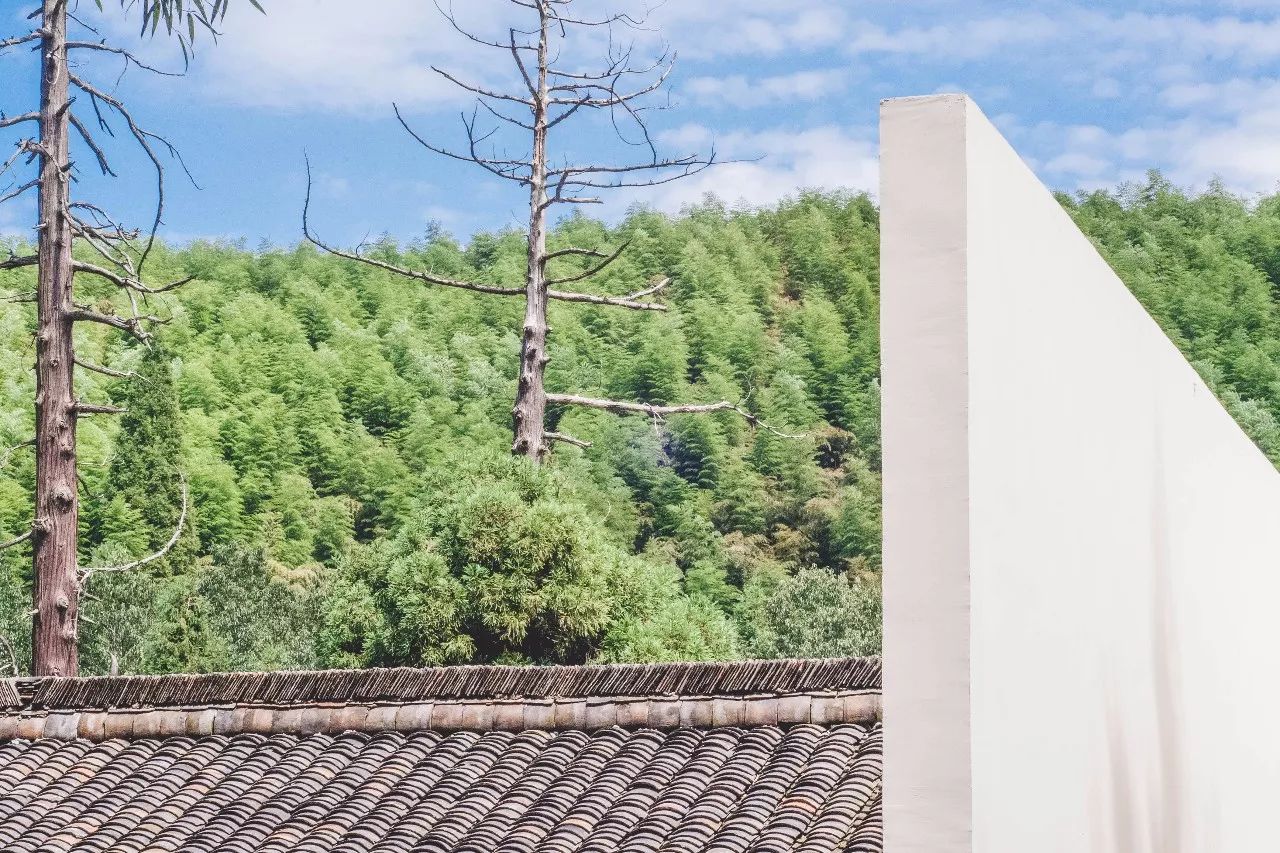 杭州·菩提谷，與你一起私有群山秘境