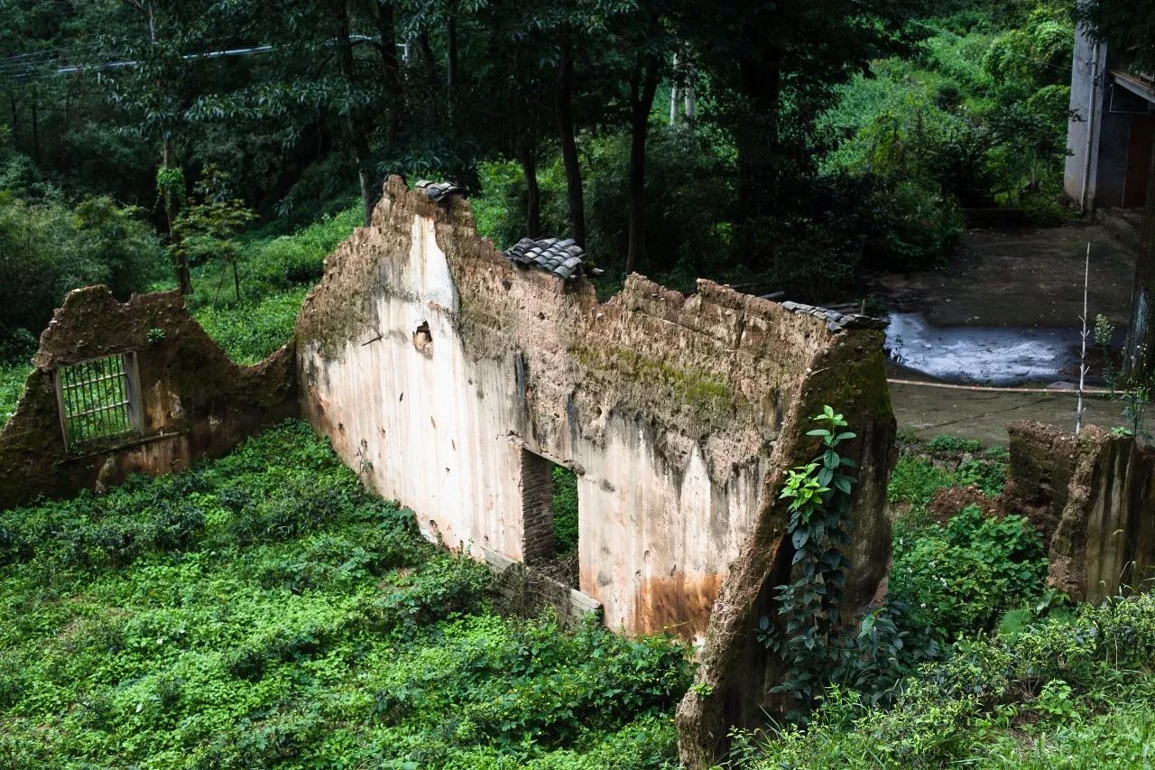 杭州·菩提谷，與你一起私有群山秘境