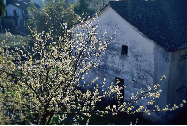 杭州·菩提谷，與你一起私有群山秘境