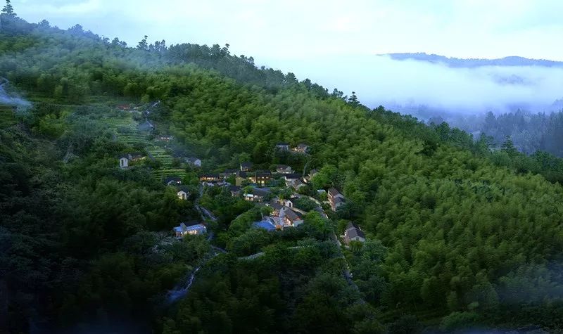 杭州·菩提谷，與你一起私有群山秘境