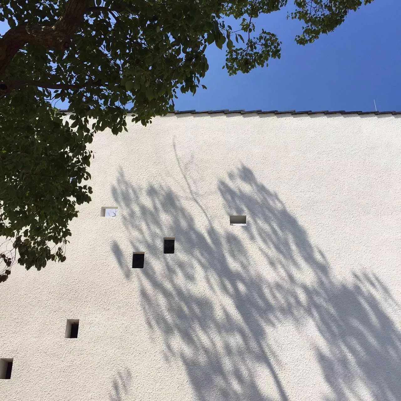 新中式建筑：望廬·一處徽派老宅的煥然新生！