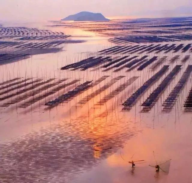 霞浦·灰鯨樂宿，帶給你更多濃郁的人文氣息