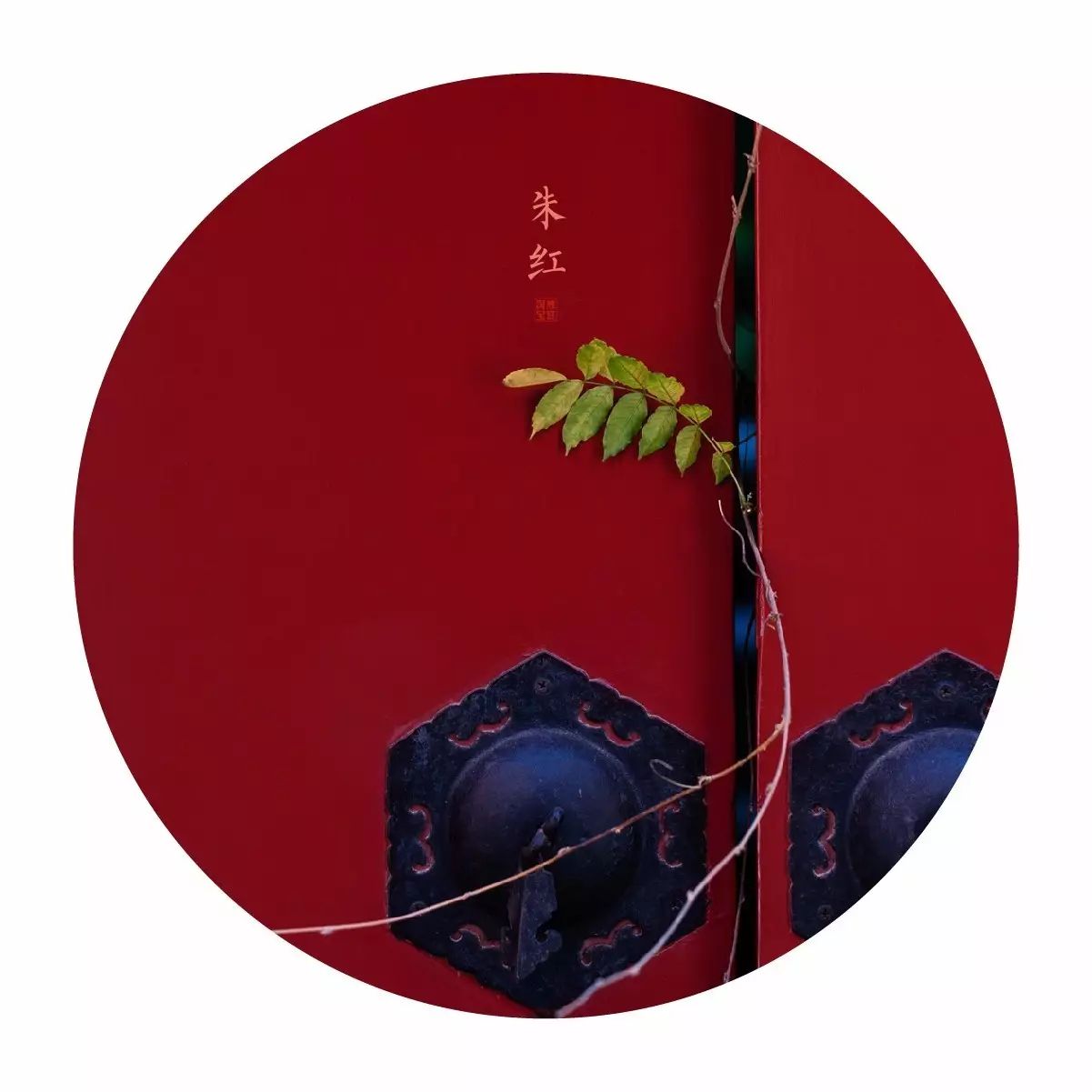 中國(guó)最美的配色：紫禁城古建筑的色彩美！