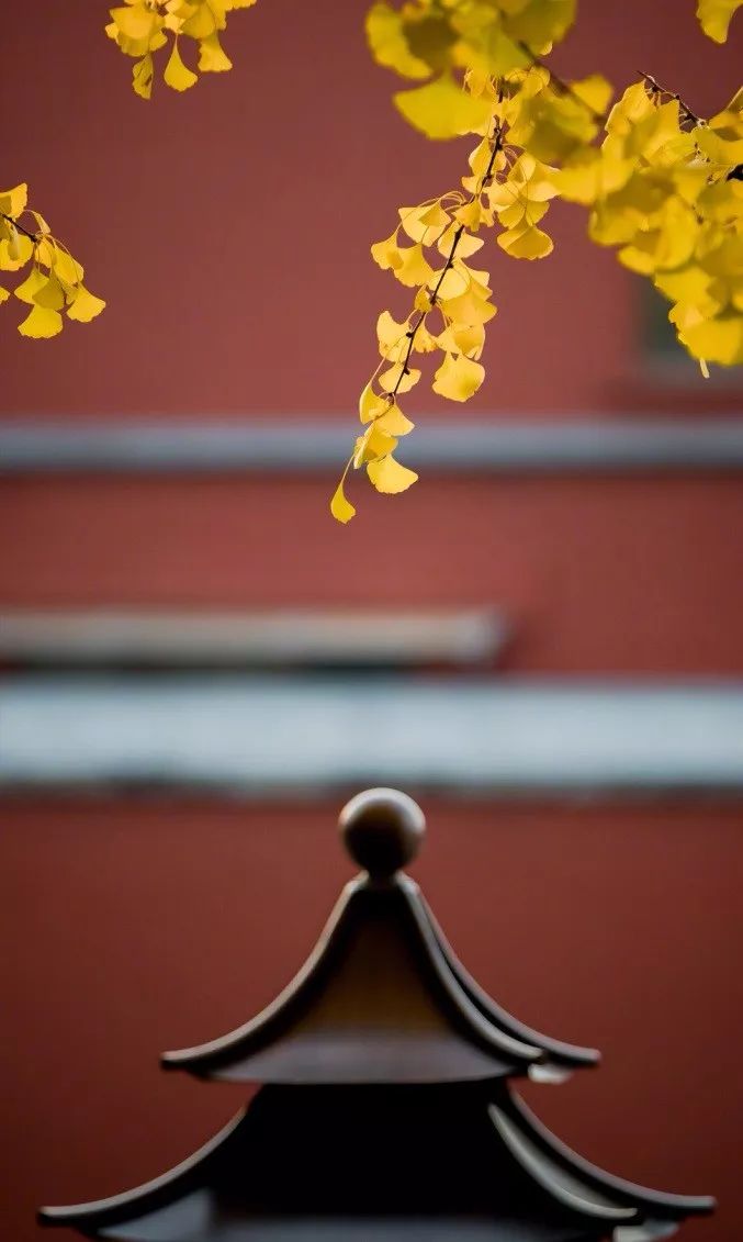 中國最美的配色：紫禁城古建筑的色彩美！