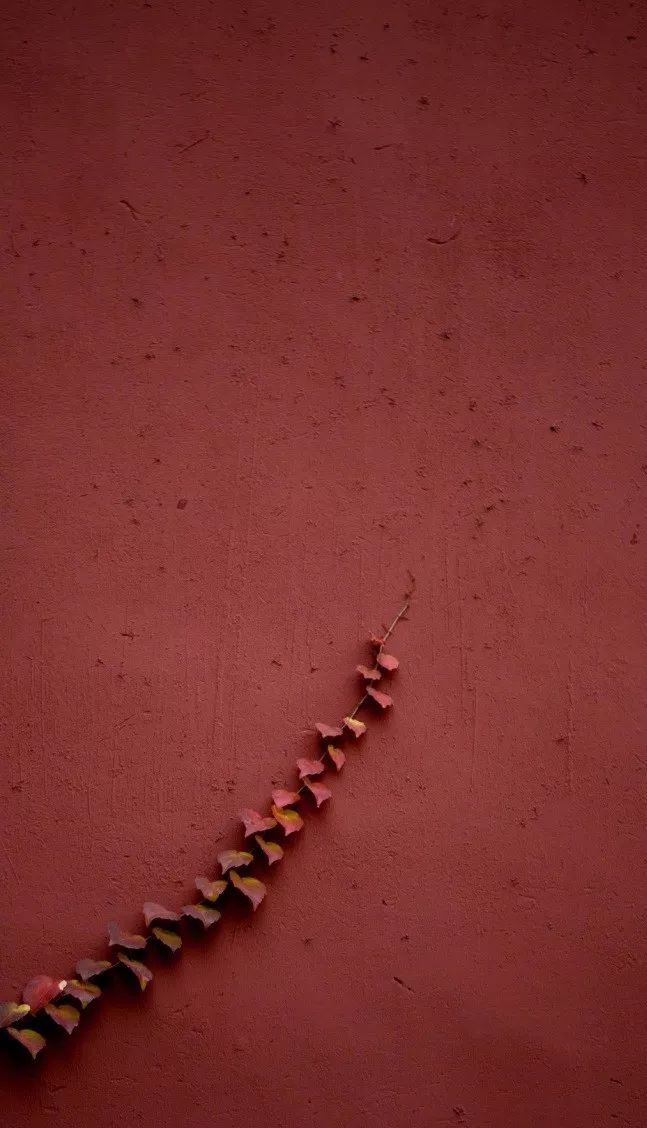 中國最美的配色：紫禁城古建筑的色彩美！